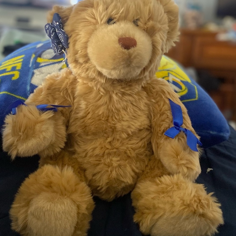 Like New! Build-A-Bear - Picture 2 of 5